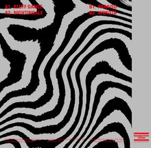 Load image into Gallery viewer, Relmer International : Relmer International (12&quot;)
