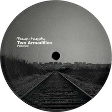 Load image into Gallery viewer, Two Armadillos : Patience (12")
