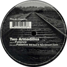 Load image into Gallery viewer, Two Armadillos : Patience (12")
