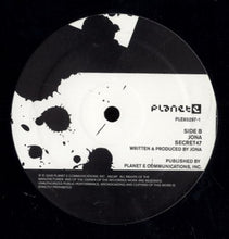 Load image into Gallery viewer, Jona : Altiplano (12")
