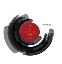 Load image into Gallery viewer, Gavin Herlihy : Okay No Disco (12")
