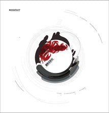 Load image into Gallery viewer, Gavin Herlihy : Okay No Disco (12")
