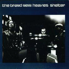 Load image into Gallery viewer, The Brand New Heavies : Shelter (12&quot;)

