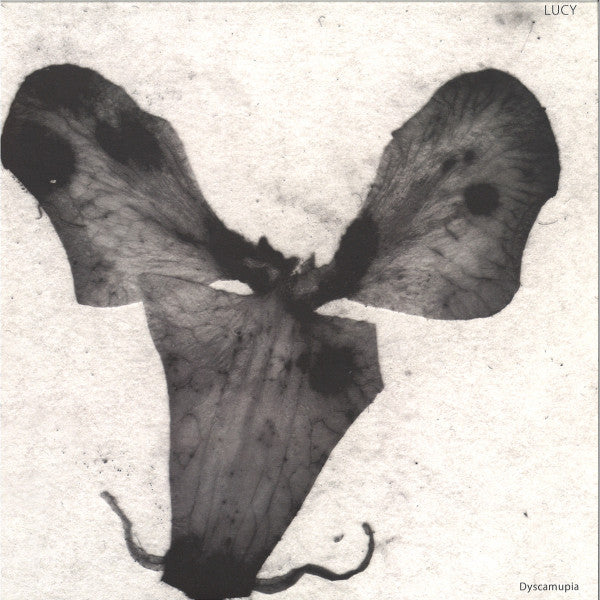 Lucy (12) : Dyscamupia (12