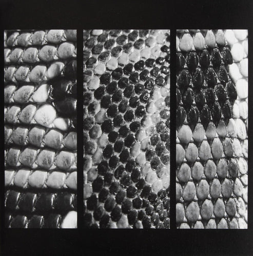 Slow White Fall : Total EP (12