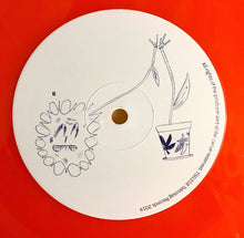 Load image into Gallery viewer, Age Reform : Degenerate (LP, Album)
