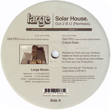Load image into Gallery viewer, Solar House : Got 2 B U (Remixes) (12")
