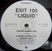 Load image into Gallery viewer, Exit 100 : Liquid (12", Promo)
