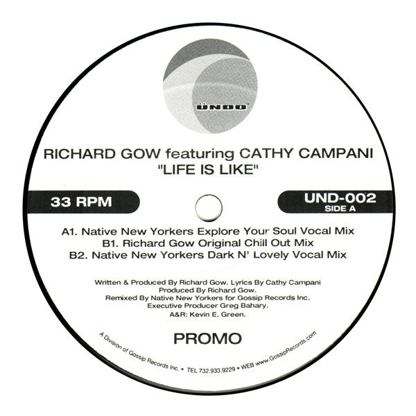 Richard Gow Featuring Cathy Campani : Life Is Like (12