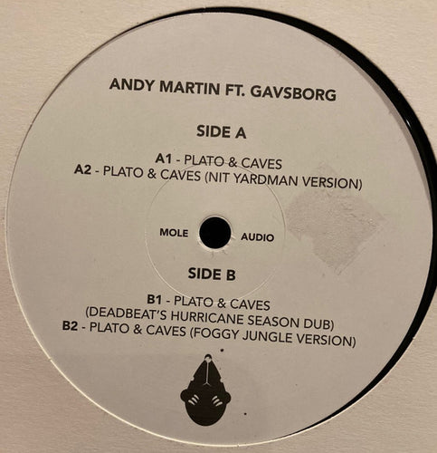 Andy Martin (6) Ft. Gavsborg : Plato & Caves (12