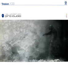 Load image into Gallery viewer, Neil Landstrumm : Pro Audio (2x12", Album)
