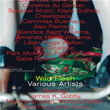 Various : Wild Flesh Presents (LP)