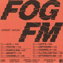 Load image into Gallery viewer, Anthony Naples : Fog FM  (2xLP, Album)
