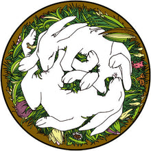 Load image into Gallery viewer, Antonia Leukers : Hasenlove (LP, Etch, Ltd, Pic)
