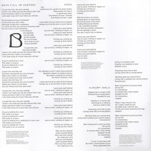 Load image into Gallery viewer, Hot Chip : A Bath Full Of Ecstasy (2xLP, Album)
