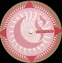 Load image into Gallery viewer, Loop Guru : Shrinic Visions (12")
