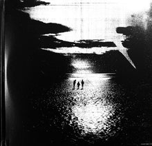 Load image into Gallery viewer, Response &amp; Pliskin : We're All Disturbed (3x12", Album)
