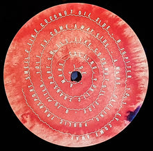 Load image into Gallery viewer, Nice Girl : HIM006 (12")
