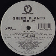 Load image into Gallery viewer, Green Plants : Old # 7 (12")
