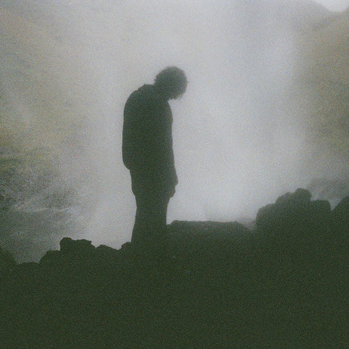 Palmistry : Afterlife (LP, Album)