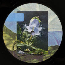 Load image into Gallery viewer, softcoresoft : Otherworlds (12", EP)
