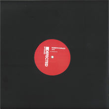 Load image into Gallery viewer, Roberto Surace : Joys (12", S/Sided)
