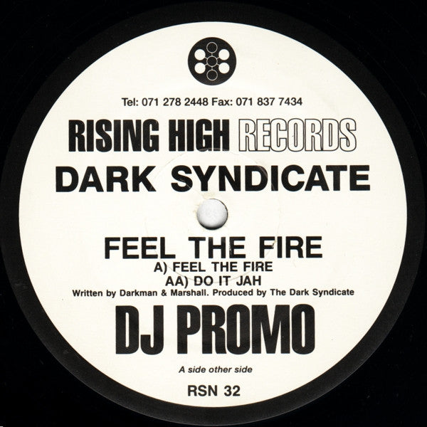 The Dark Syndicate (2) : Feel The Fire (12