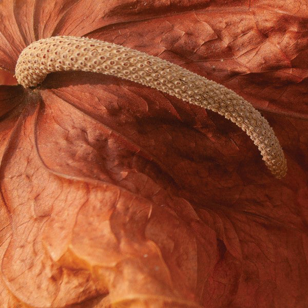 DJs Pareja : The After EP (12