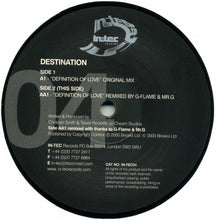 Load image into Gallery viewer, Destination : Definition Of Love (12")
