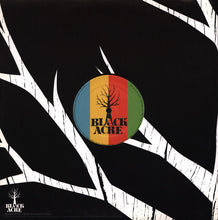 Load image into Gallery viewer, Landslide : Dreams &amp; Visions (12")
