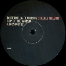 Load image into Gallery viewer, Dudearella : Top Of The World (12&quot;)
