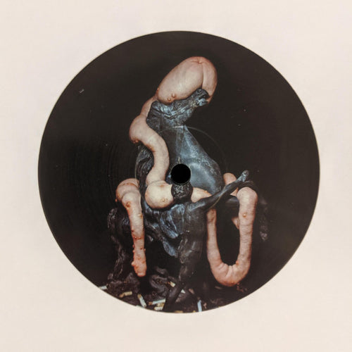 Heith & Weightausend : Stone Lizard (12