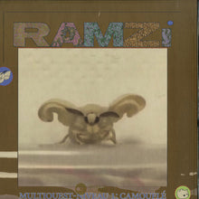 Load image into Gallery viewer, Ramzi : Multiquest Niveau 1: Camouflé (LP)
