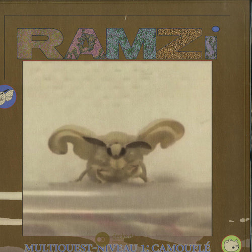 Ramzi : Multiquest Niveau 1: Camouflé (LP)