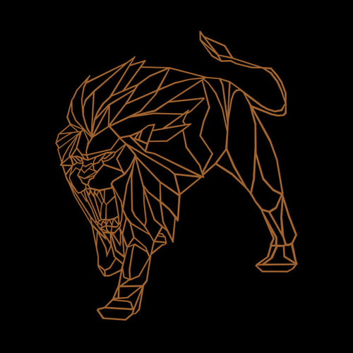 JP Enfant : Virtus EP (12