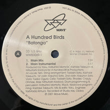 Load image into Gallery viewer, A Hundred Birds : Batonga (12")
