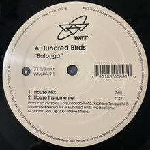 Load image into Gallery viewer, A Hundred Birds : Batonga (12")
