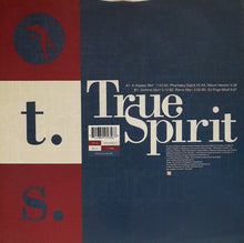 Load image into Gallery viewer, Carleen Anderson : True Spirit (12&quot;, Single)
