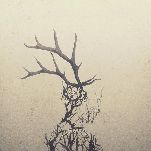 Penelope Antena : Antelope (LP, Album)