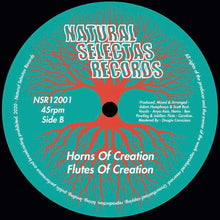 Load image into Gallery viewer, Anatta Sound ft. Anya Asia : Roots Of Creation  (12&quot;, Ltd)
