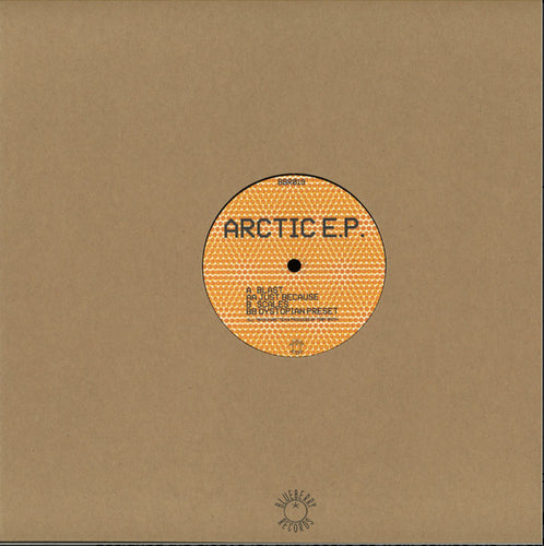 Secret State : Arctic E.P. (12