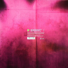 Load image into Gallery viewer, Agoria Feat. Scalde : Dust (12")
