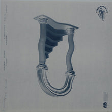 Load image into Gallery viewer, Lunch Money Life : Immersion Chamber (LP)
