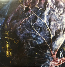 Load image into Gallery viewer, CA2+ : Overtone Widow (LP, Album)
