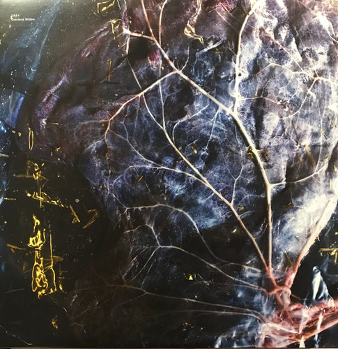 CA2+ : Overtone Widow (LP, Album)