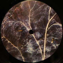 Load image into Gallery viewer, CA2+ : Overtone Widow (LP, Album)
