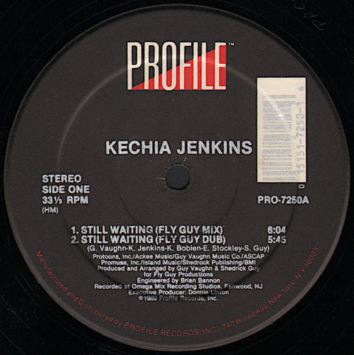 Kechia Jenkins : Still Waiting (12