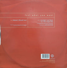 Load image into Gallery viewer, Kristine W : Feel What You Want (12&quot;)
