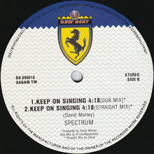 Load image into Gallery viewer, Spectrum : Keep On Singing (12&quot;)
