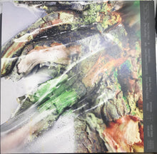 Load image into Gallery viewer, FFT (4) : Month / Sacrifice (The Truth Mix) (12&quot;)
